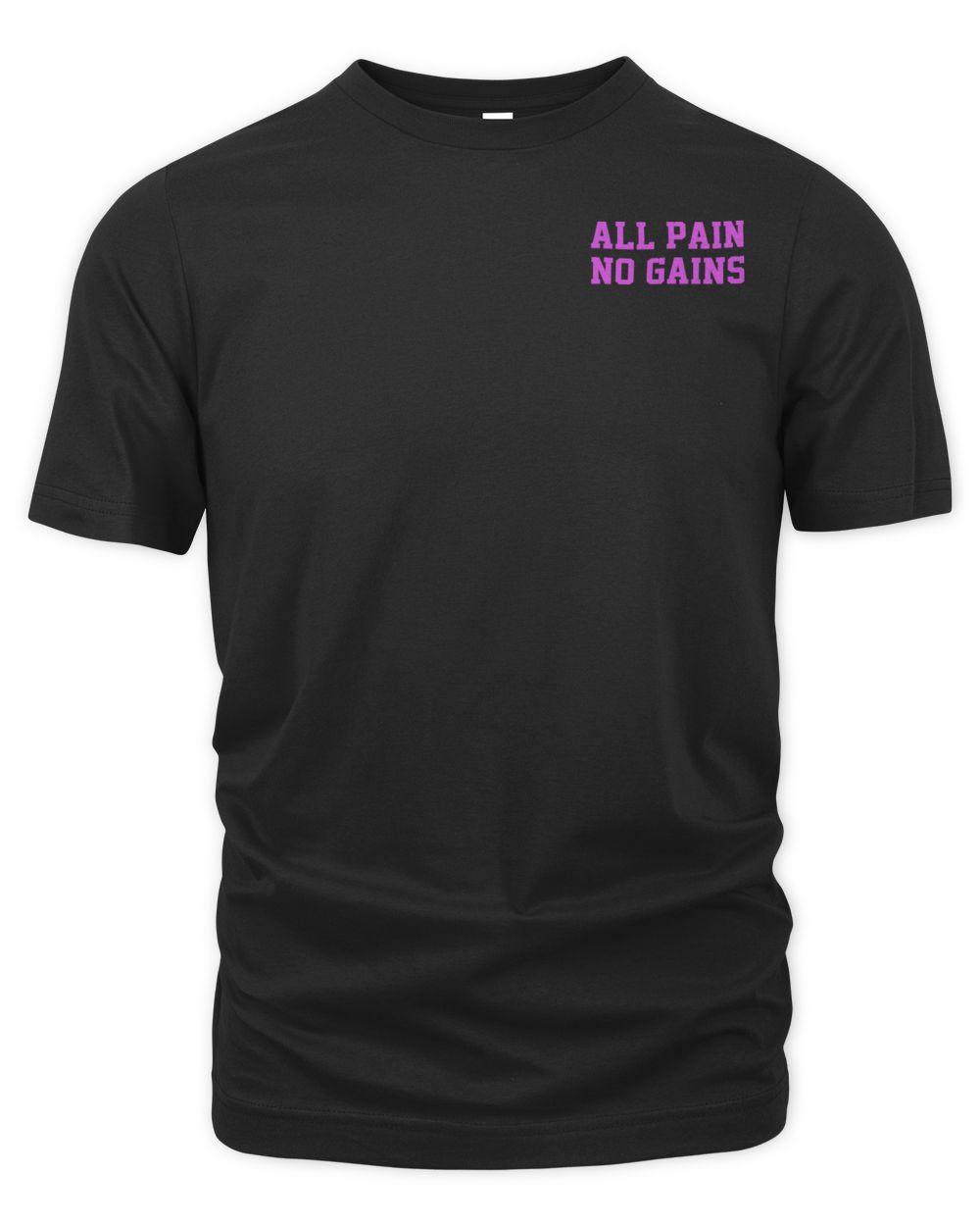 Raskol Apparel All Pain No Gains Shirt