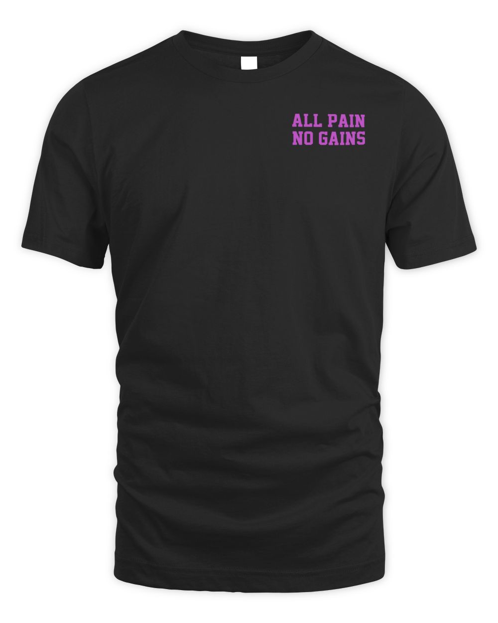 Raskol Apparel All Pain No Gains Shirt