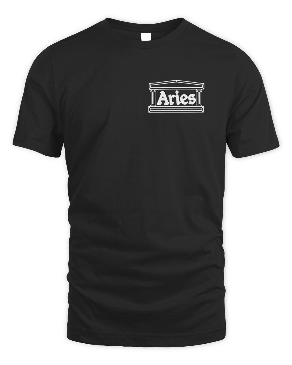 Aries Arise Clothing Temple Shirt