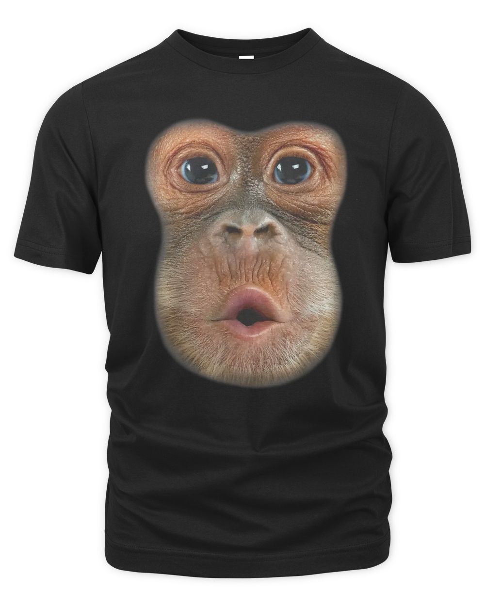 Orangutan Grabs Man Shirt