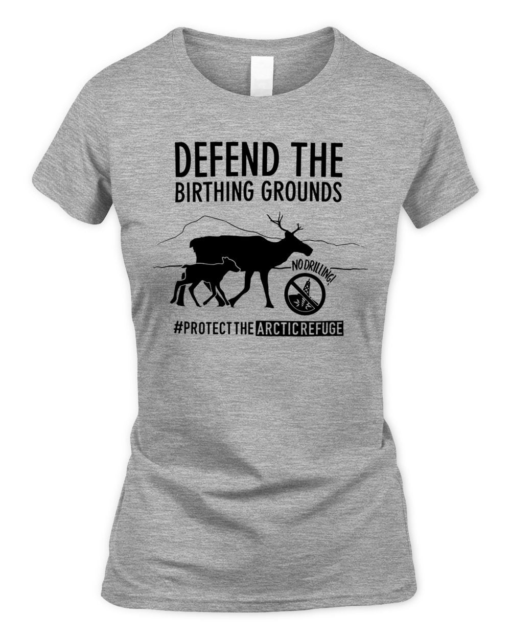 Native Movement Merch Defend The Birthing Grounds Shirt