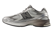 2010 "Metallic silver grey" U2010753