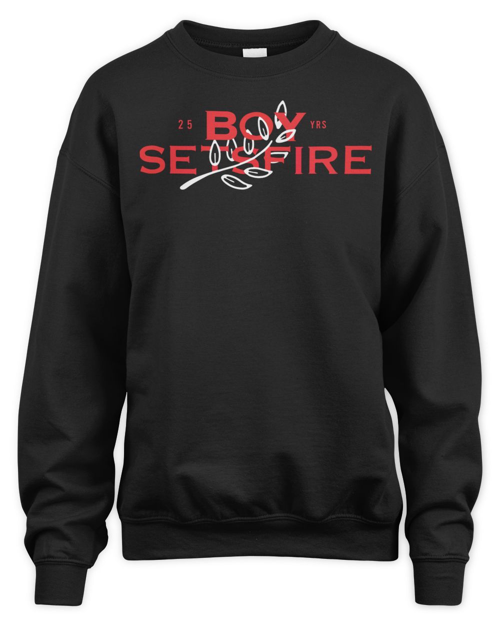 Boysetsfire Merch Bird Shirt