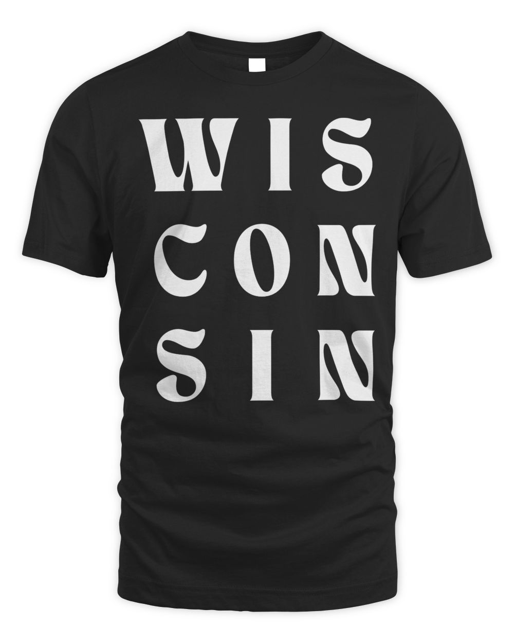 Wisconsin Clothing Company Wis Con Sin Champion Shirt