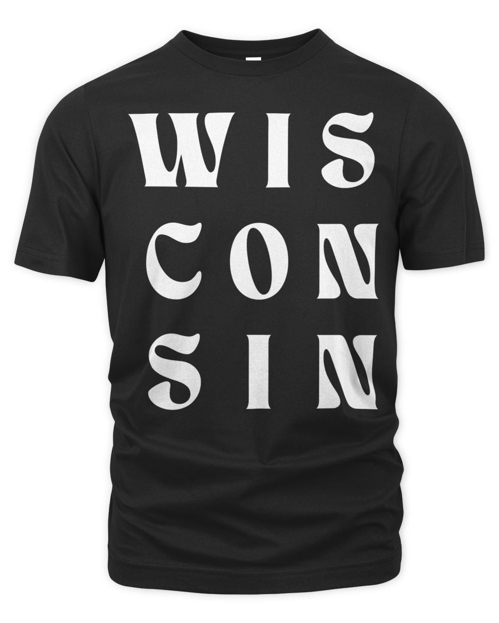 Wisconsin Clothing Company Wis Con Sin Champion Shirt