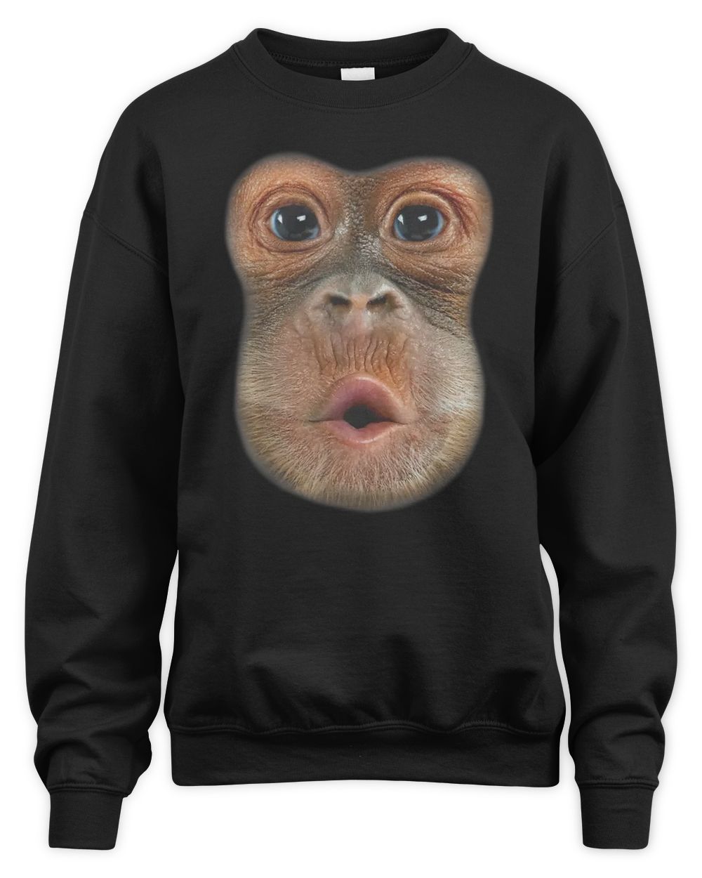 Orangutan Grabs Man Shirt