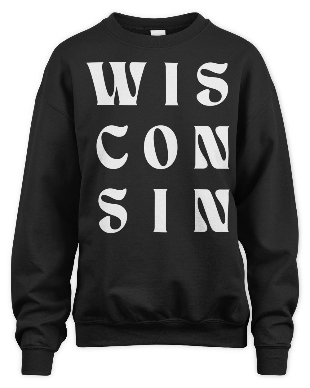Wisconsin Clothing Company Wis Con Sin Champion Shirt