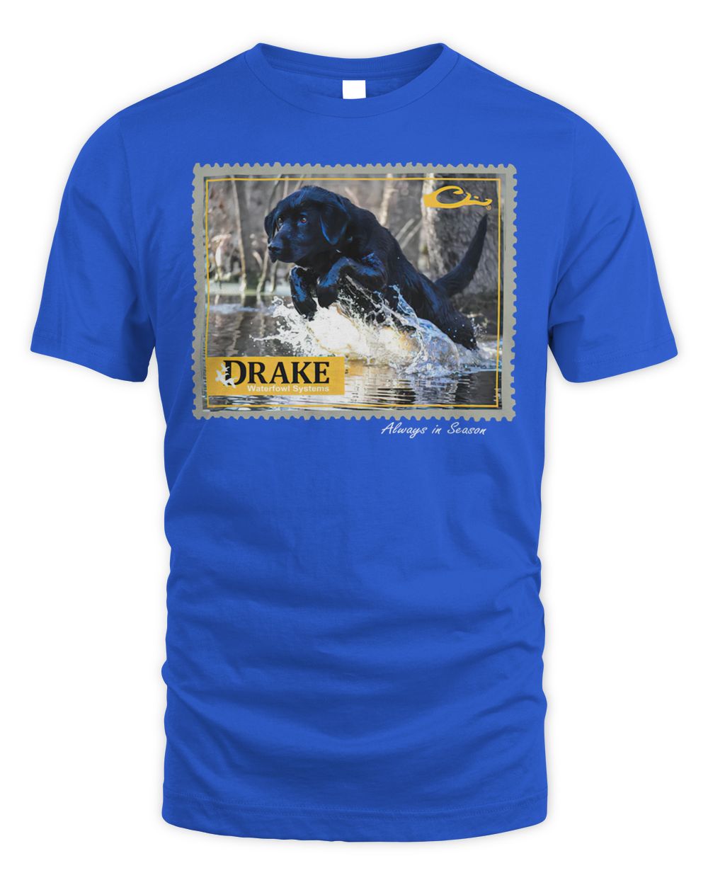 264 Shoes and Apparel Drake Launch Dog Shirt