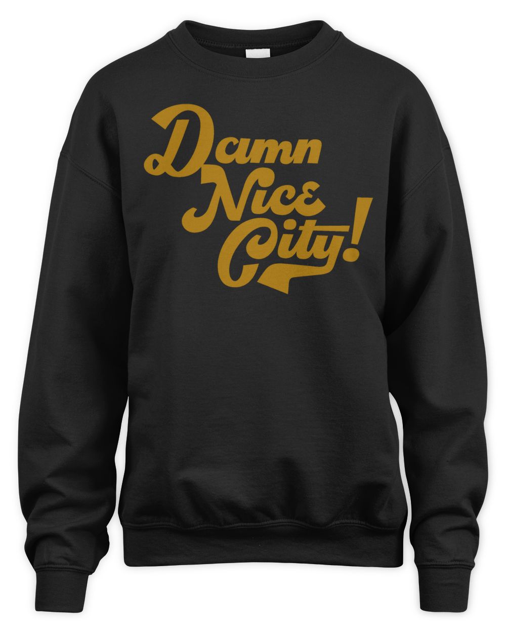 Damn Nice City Shirt