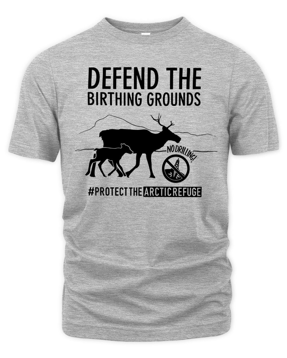 Native Movement Merch Defend The Birthing Grounds Shirt