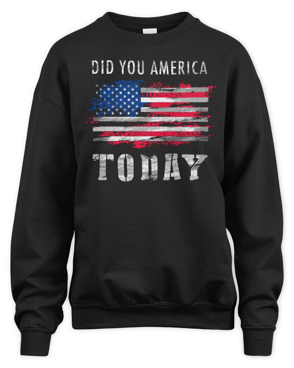 Acal Apparel Did You America Today Shirt