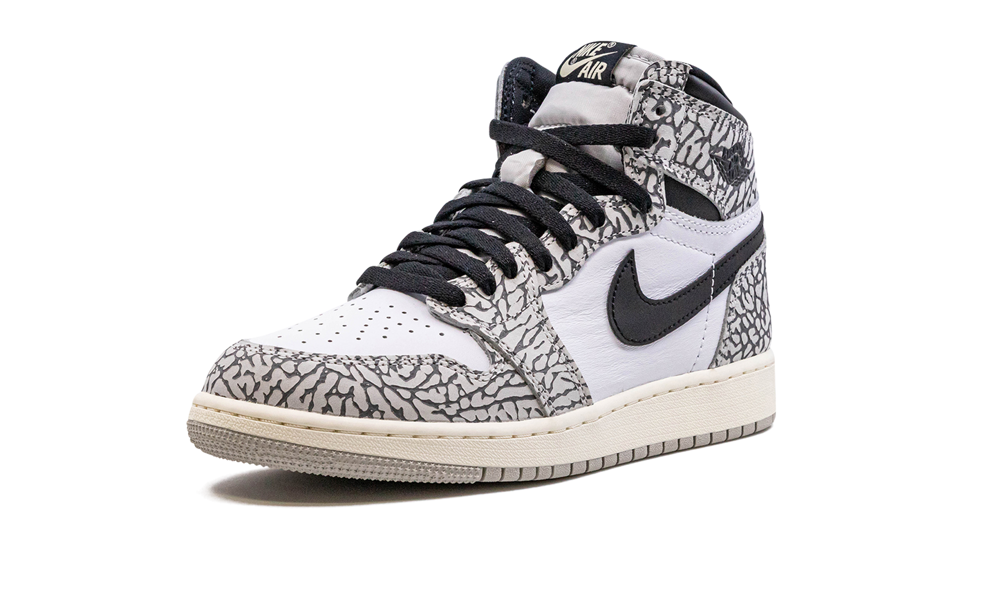 Air Jordan 1 High OG GS "Elephant print" FD1437 052