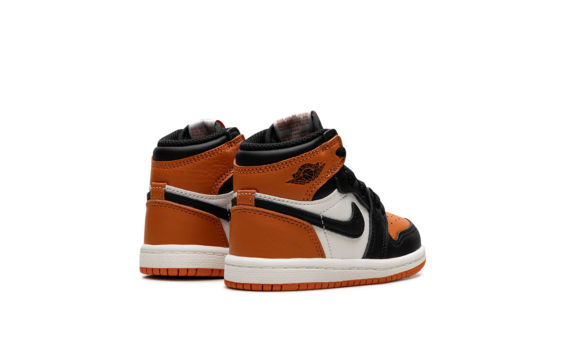 Air Jordan 1 RETRO High OG Td "Shattered backboard" FD1413 008
