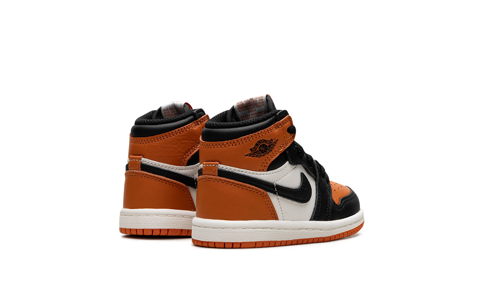 Air Jordan 1 RETRO High OG Td "Shattered backboard" FD1413 008