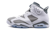 Air Jordan 6 "Cool grey" CT8529 100