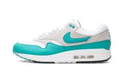 Air Max 1 "Aquatone" DZ4549 001