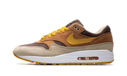 Air Max 1 "Ugly duckling - pecan" DZ0482 200