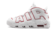 Air More Uptempo '96 921948 102