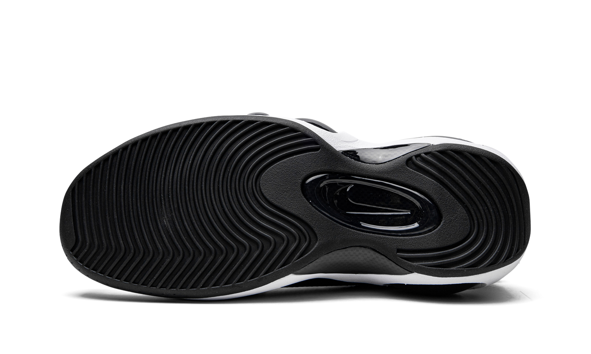Air Zoom Flight 95 "Photo blue" DM0524 100