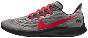 Air Zoom Pegasus 36 "Ohio state" CI2069 001