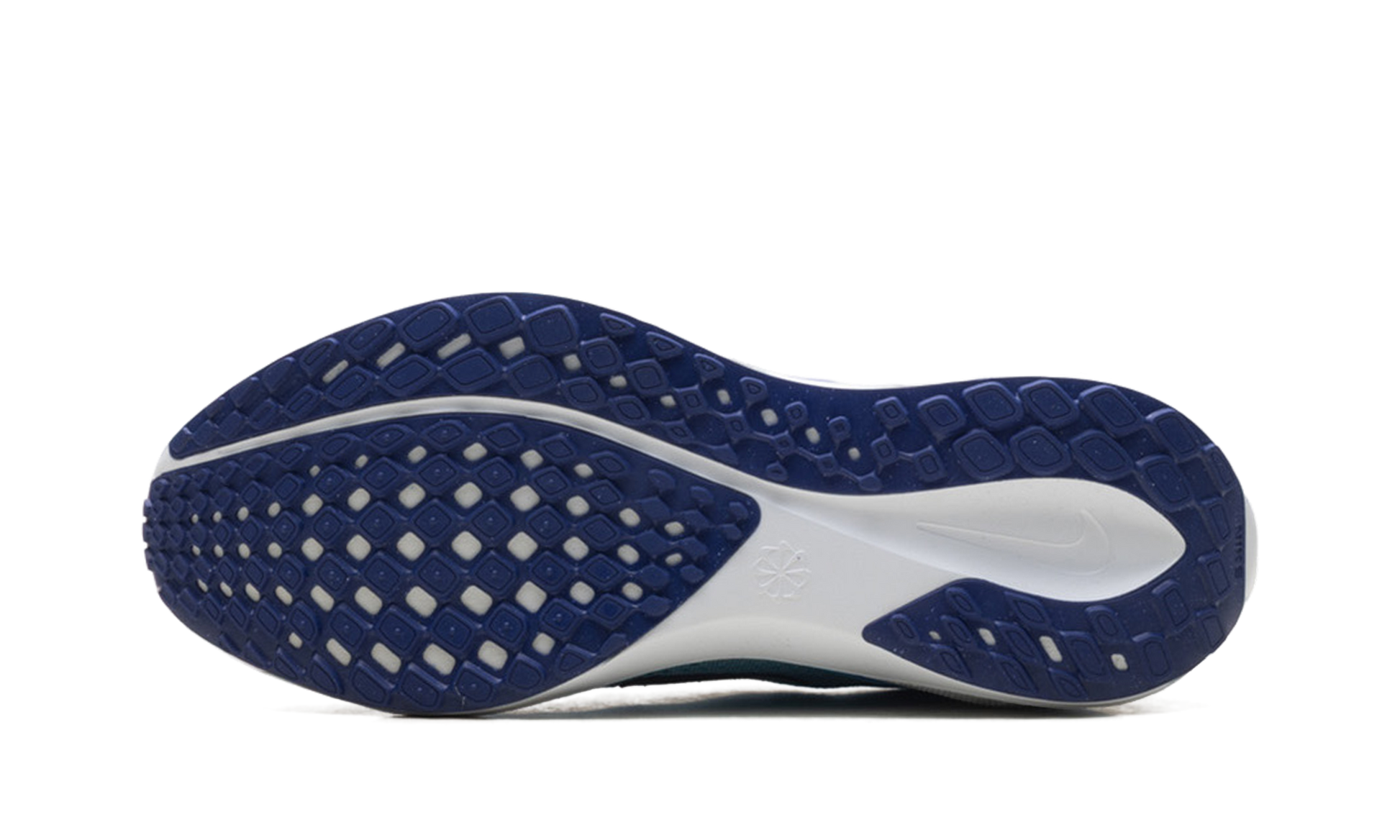 Air Zoom Pegasus 41 "Ghost blue void" FD2722 014
