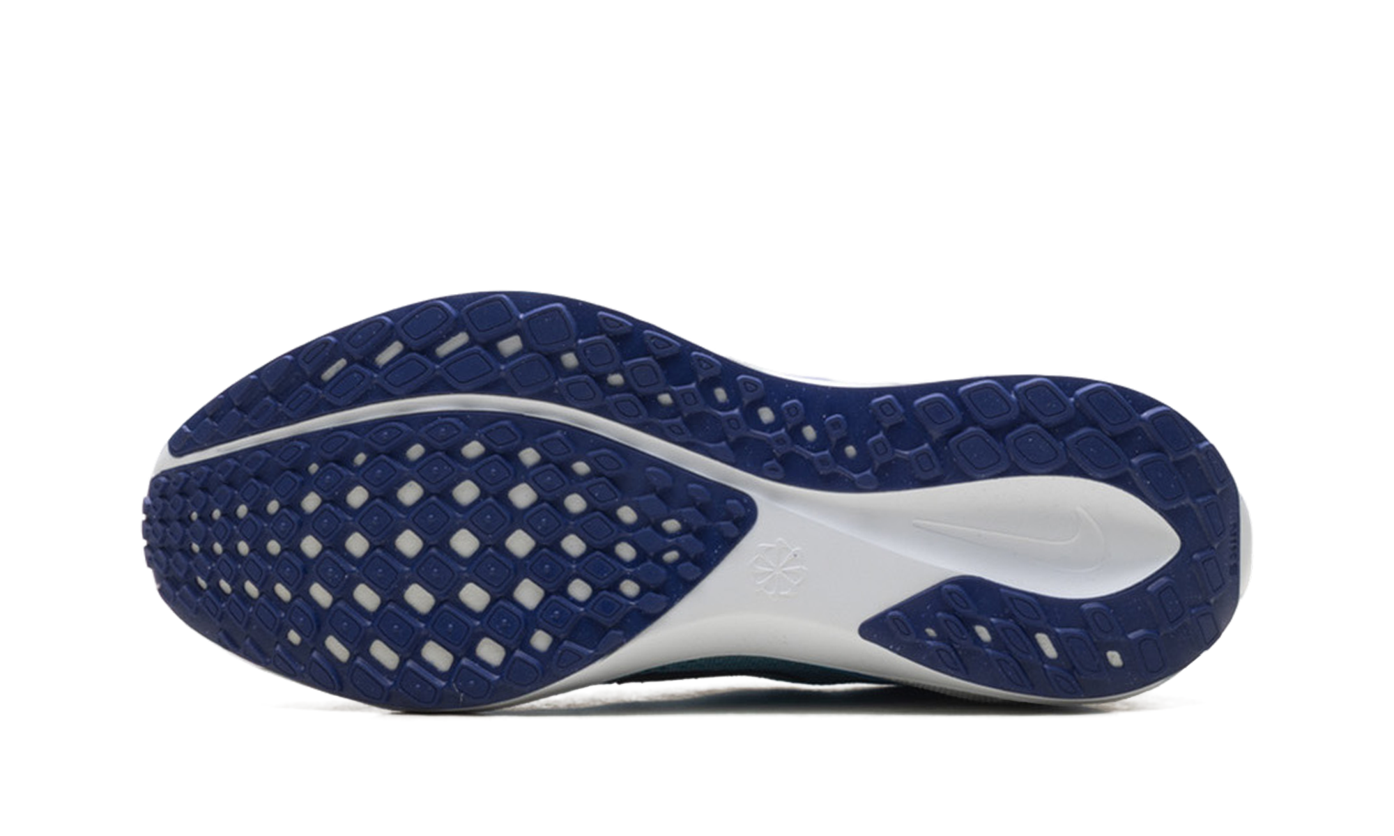 Air Zoom Pegasus 41 "Ghost blue void" FD2722 014