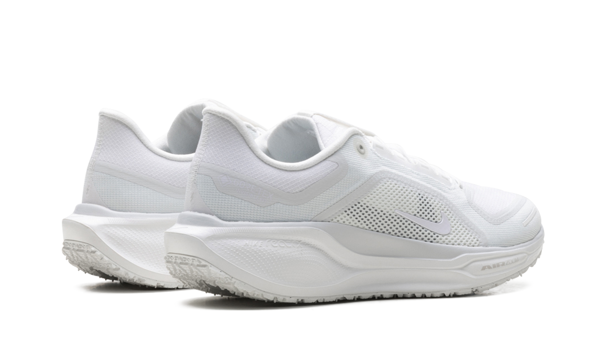 Air Zoom Pegasus 41 "Gore-tex" FQ1356 101
