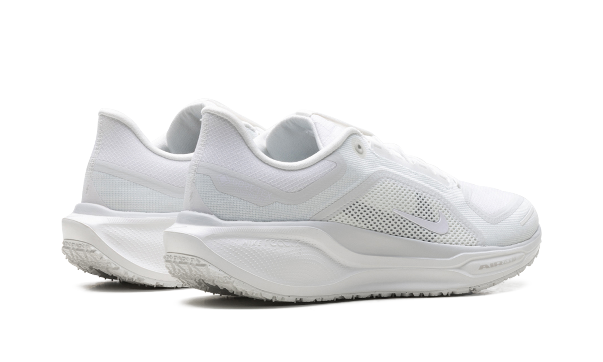 Air Zoom Pegasus 41 "Gore-tex" FQ1356 101