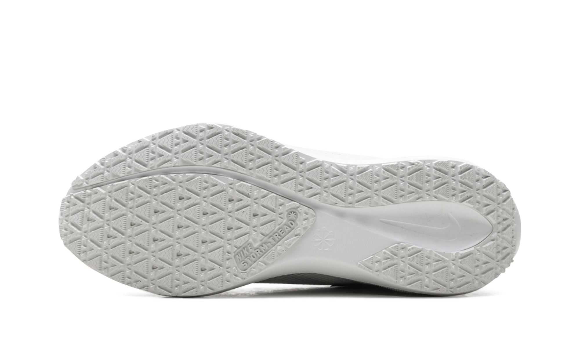 Air Zoom Pegasus 41 "Gore-tex" FQ1356 101