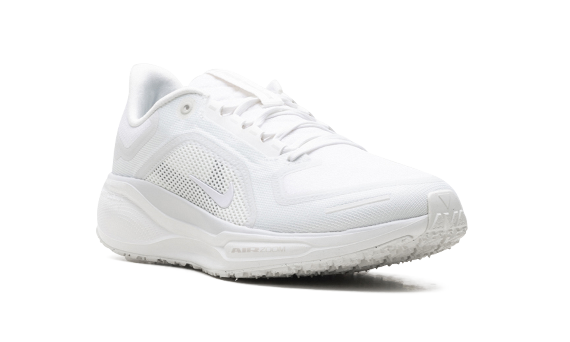 Air Zoom Pegasus 41 "Gore-tex" FQ1356 101