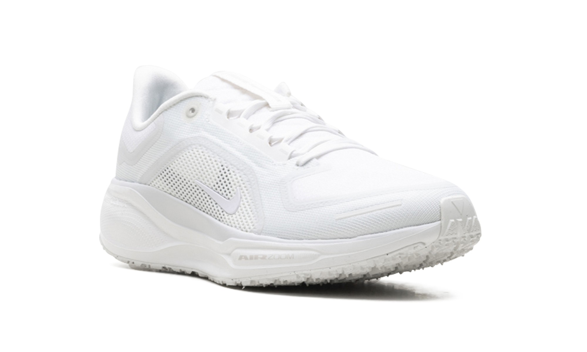 Air Zoom Pegasus 41 "Gore-tex" FQ1356 101