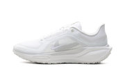 Air Zoom Pegasus 41 "Gore-tex" FQ1356 101