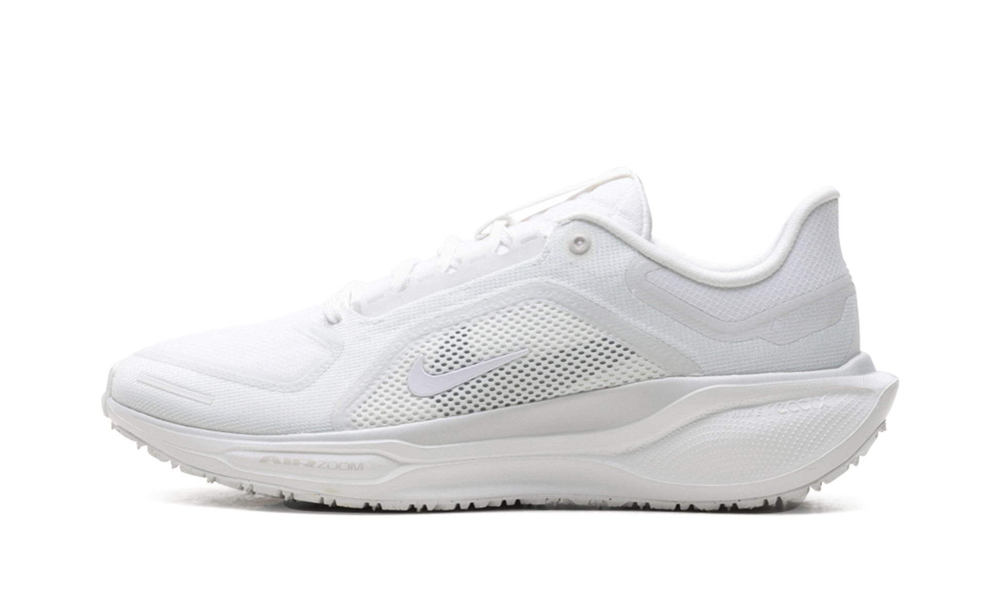 Air Zoom Pegasus 41 "Gore-tex" FQ1356 101
