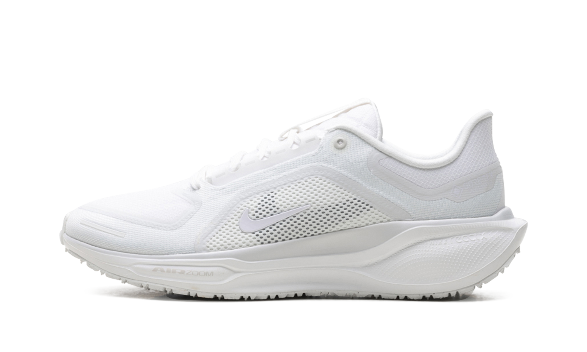 Air Zoom Pegasus 41 "Gore-tex" FQ1356 101
