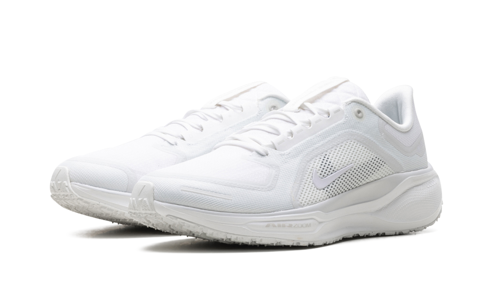 Air Zoom Pegasus 41 "Gore-tex" FQ1356 101