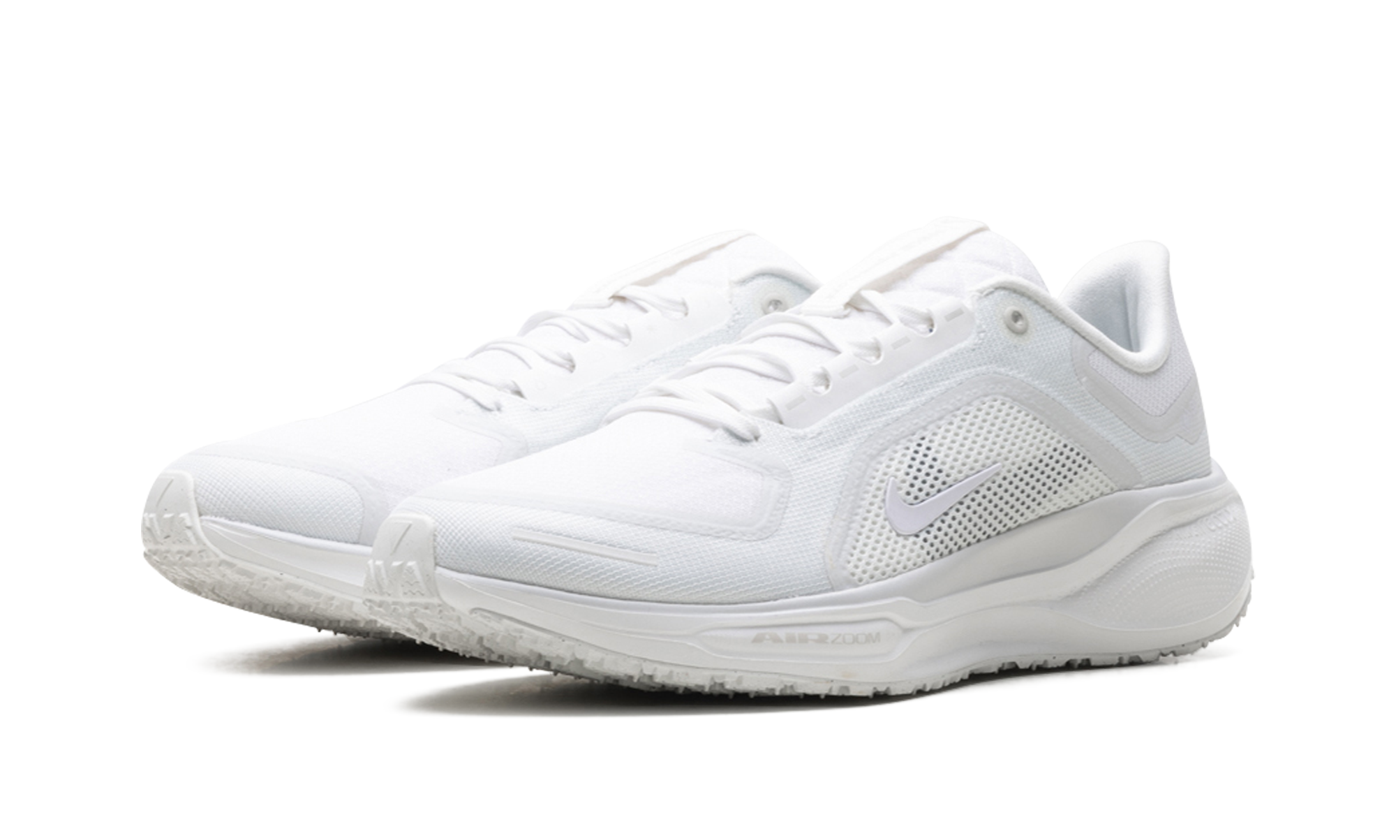Air Zoom Pegasus 41 "Gore-tex" FQ1356 101