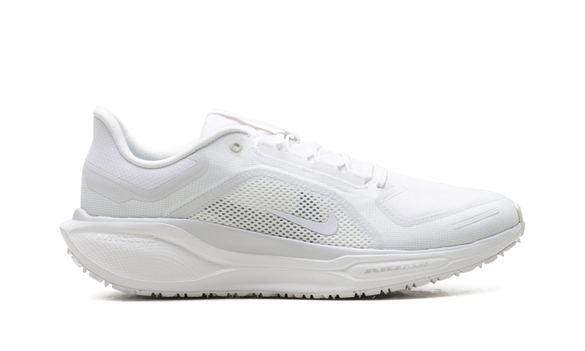 Air Zoom Pegasus 41 "Gore-tex" FQ1356 101