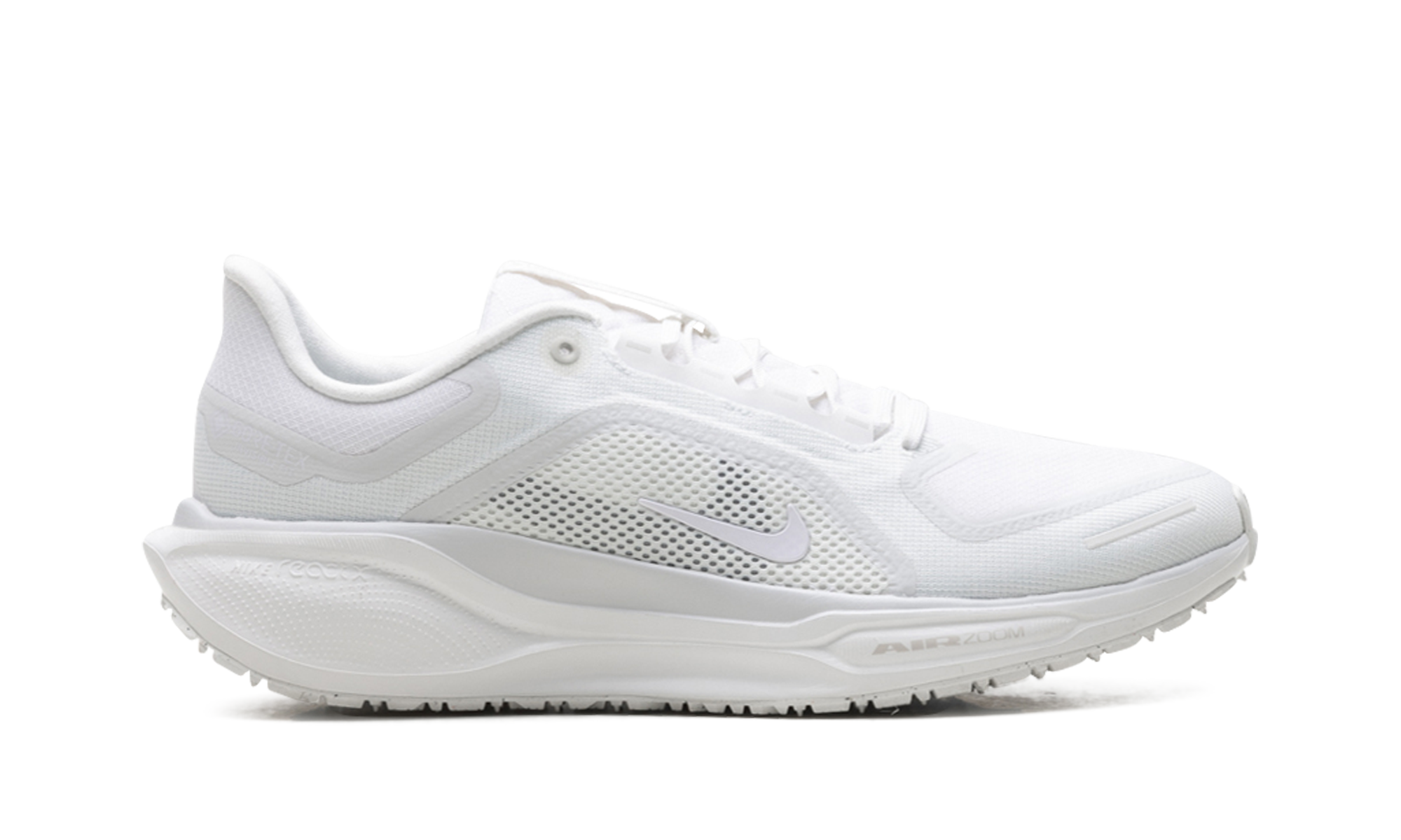Air Zoom Pegasus 41 "Gore-tex" FQ1356 101
