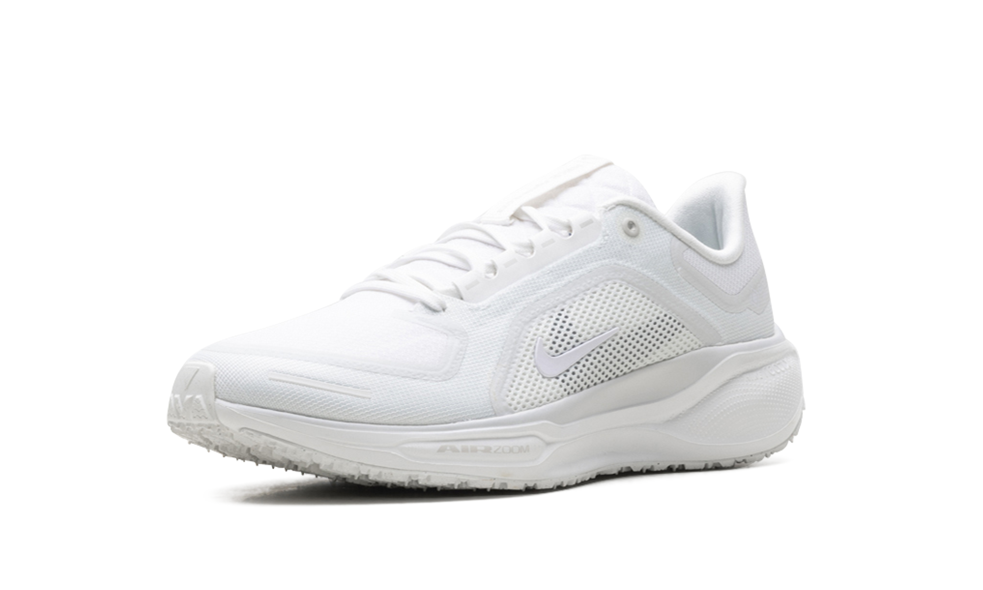 Air Zoom Pegasus 41 "Gore-tex" FQ1356 101