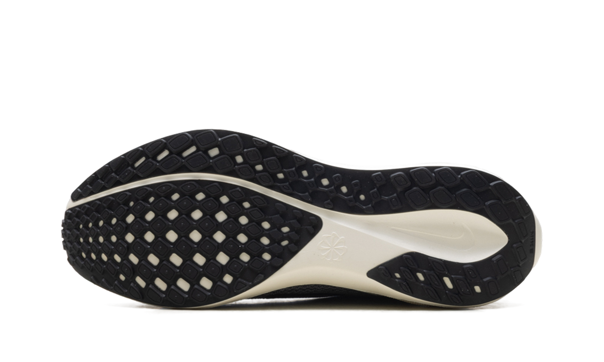 Air Zoom Pegasus 41 "Medium ash pure platinum" FD2722 215