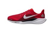 Air Zoom Pegasus 41 "Ohio state" IB3254-600