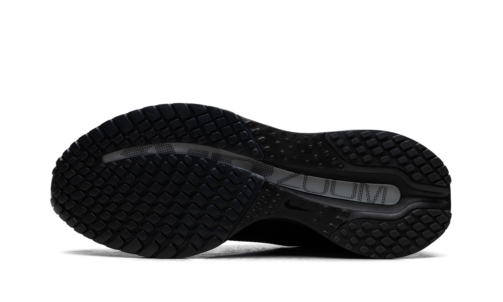 Air Zoom Pegasus Premium SP "Black metallic silver" IH4369001