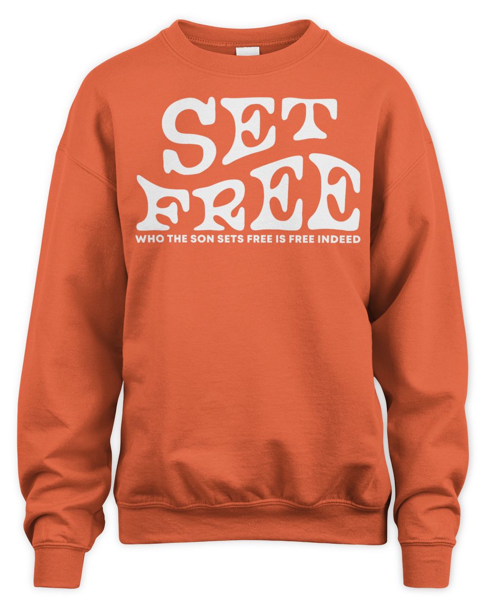 Elevated Faith Apparel Set Free Shirt