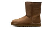 Classic Short Ii Boot Women "Chestnut" 1016223 CHE