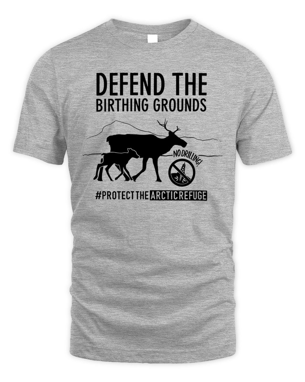 Native Movement Merch Defend The Birthing Grounds Shirt