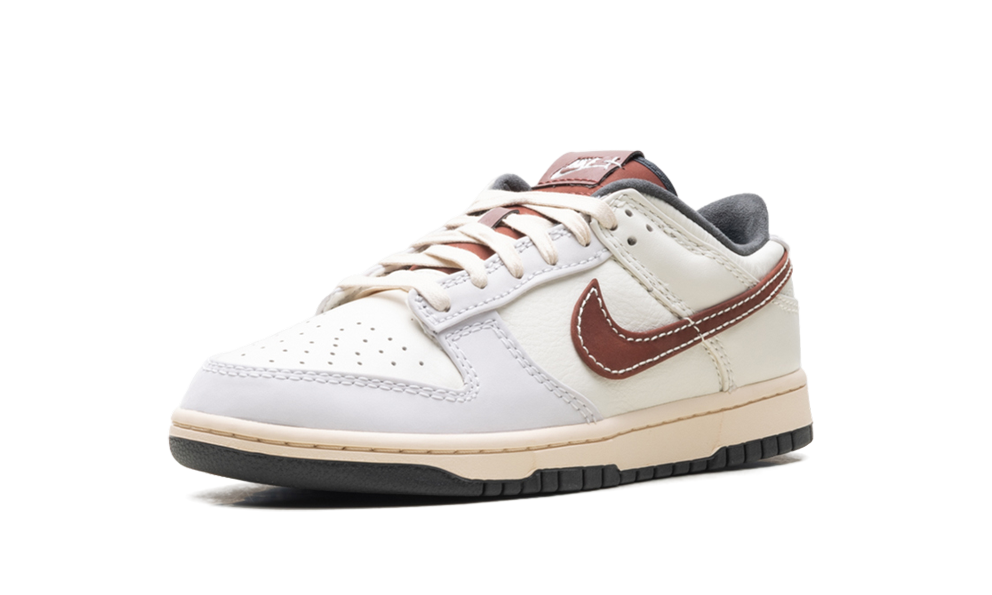 Dunk Low "Dark pony" IM6670 202