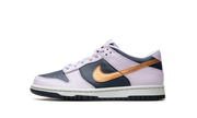 Dunk Low Se "Copper swoosh" DX1663 400