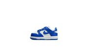 Dunk Low Td "Kentucky 2025" FB9107 131