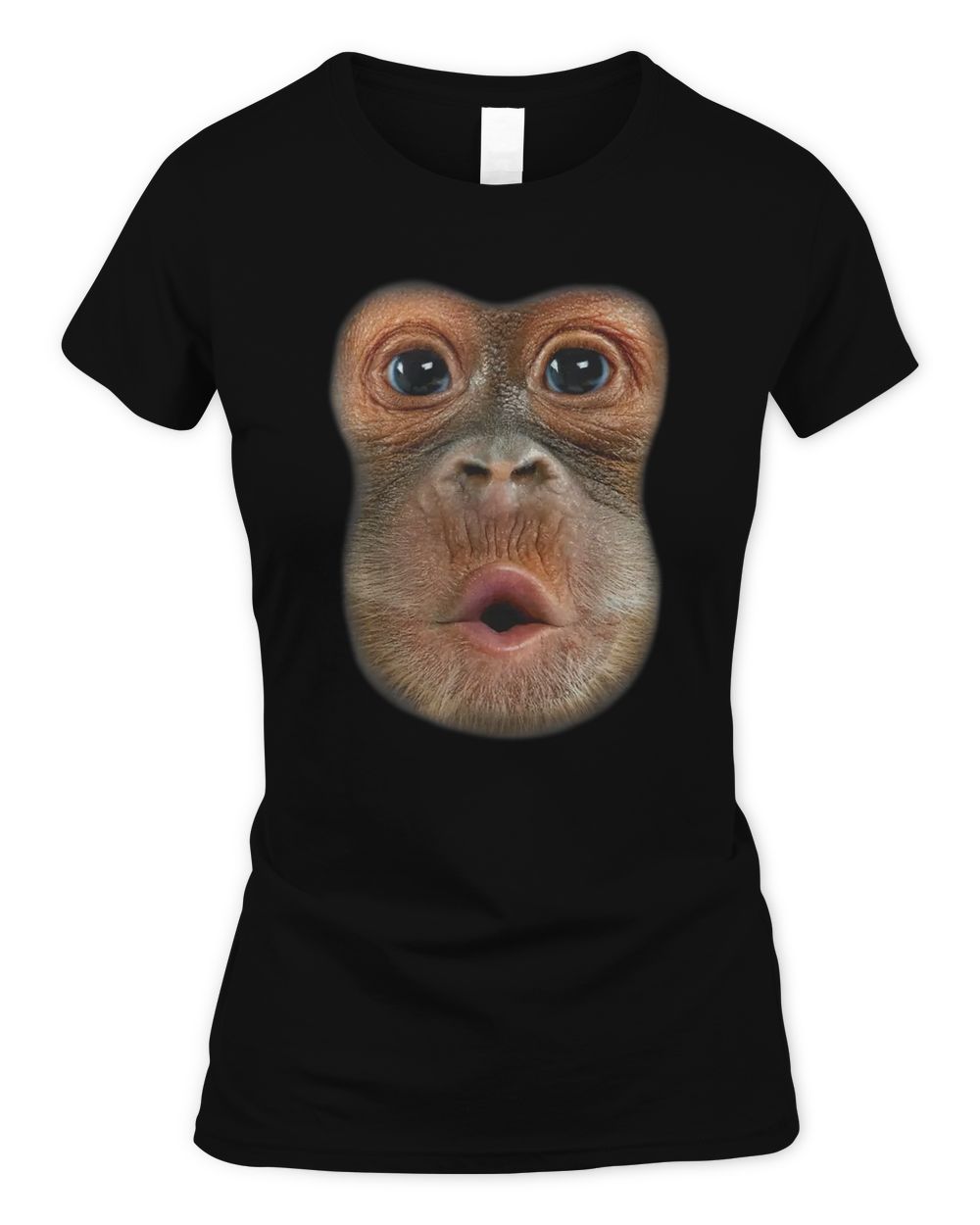Orangutan Grabs Man Shirt