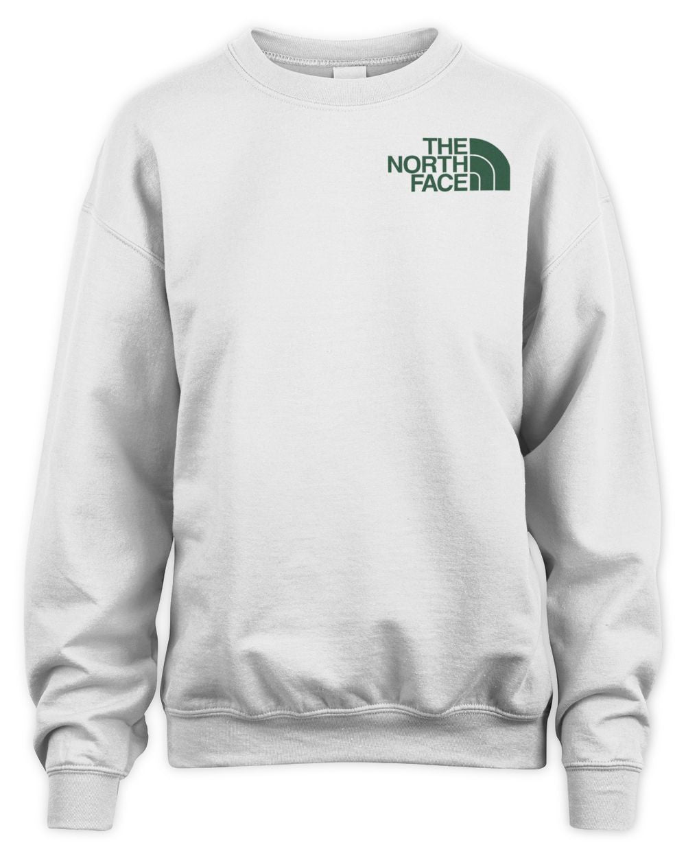 Urban Outfitters Merch The North Face Parks Shirt